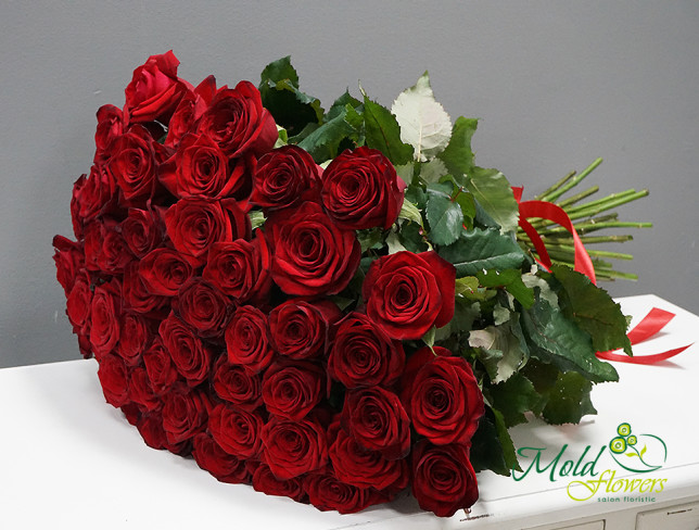 51 Trandafiri roșii olandezi 60-70 cm foto